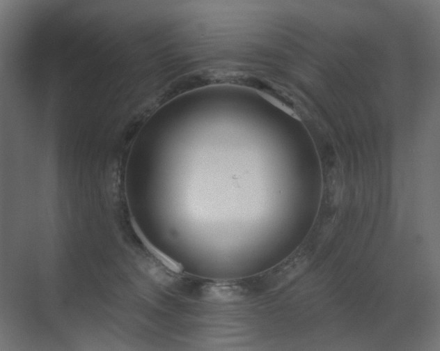 X0000073500372200607311259