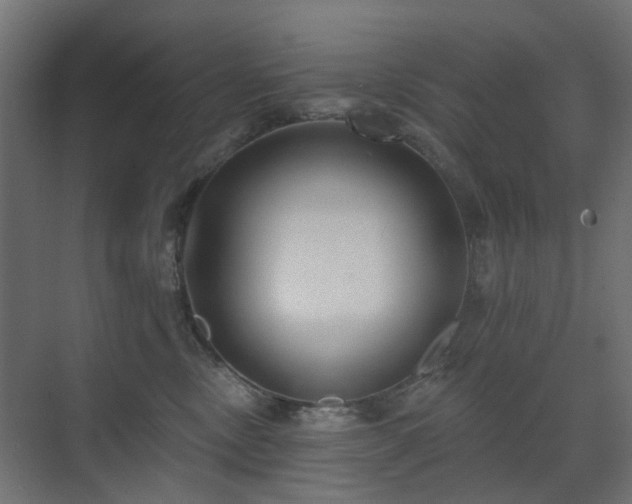 X0000073500378200607311259