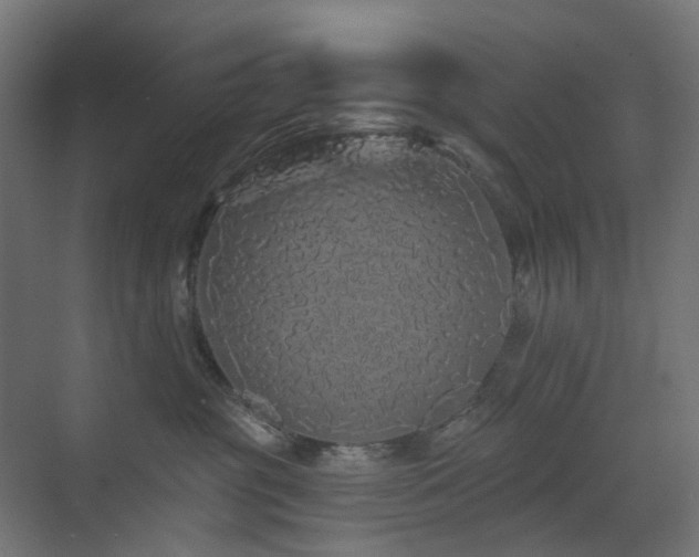 X0000073500381200607311259