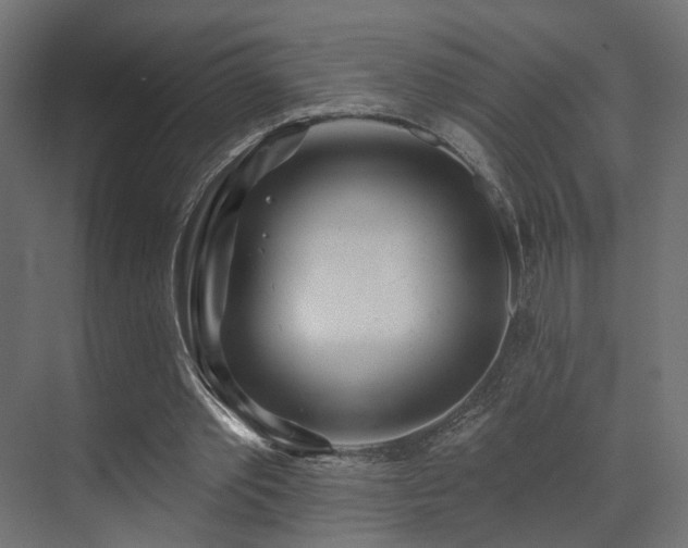 X0000073500389200607311258