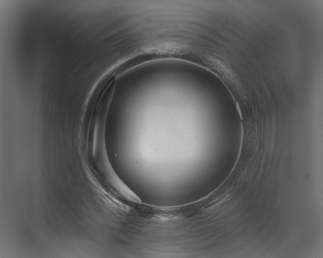 X0000073500392200607311258