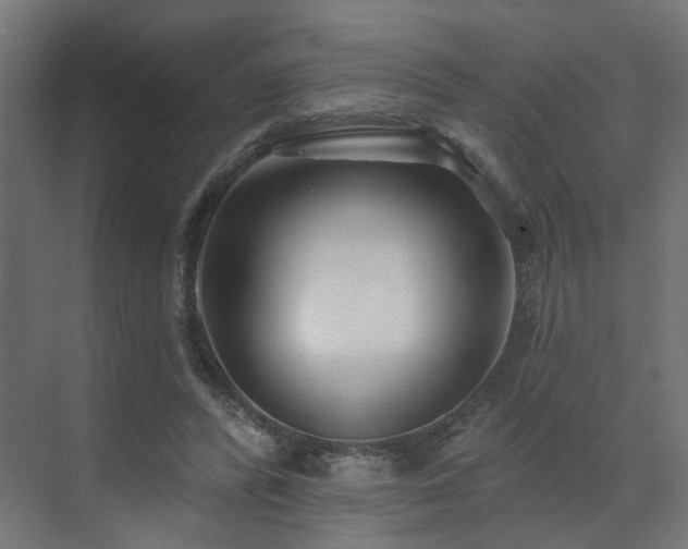 X0000073500400200607311258