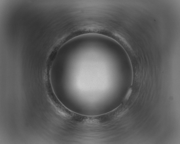 X0000073500403200607311258