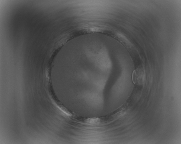 X0000073500410200607311258