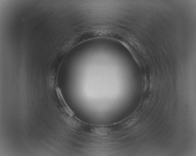 X0000073500417200607311257