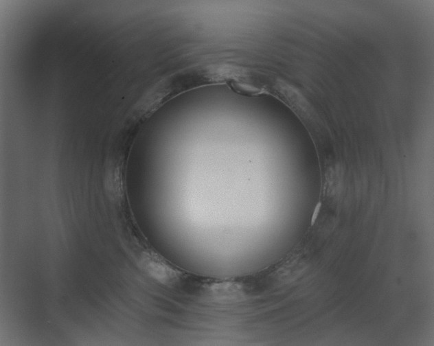 X0000073500426200607311257