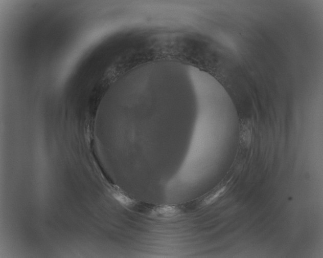 X0000073500431200607311257