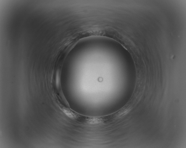 X0000073500432200607311257