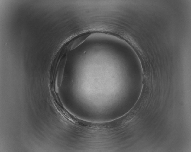 X0000073500434200607311256