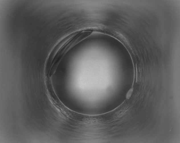 X0000073500435200607311256
