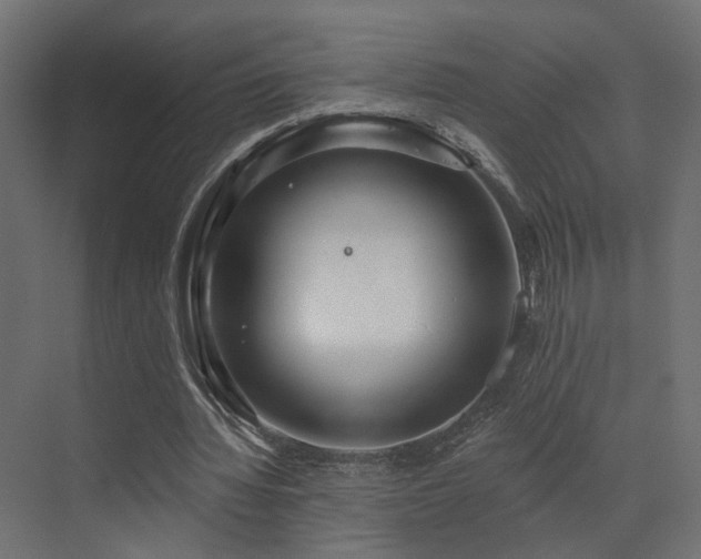 X0000073500436200607311256