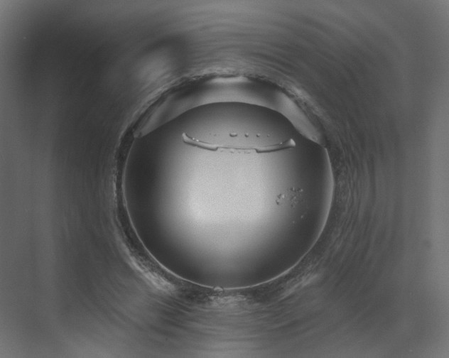 X0000073500446200607311257