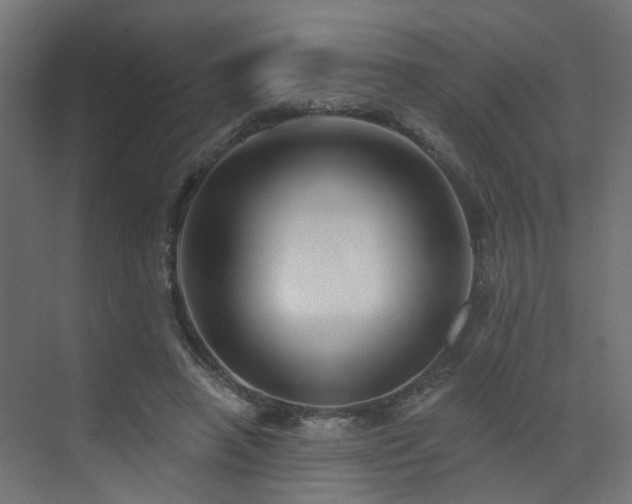 X0000073500450200607311257