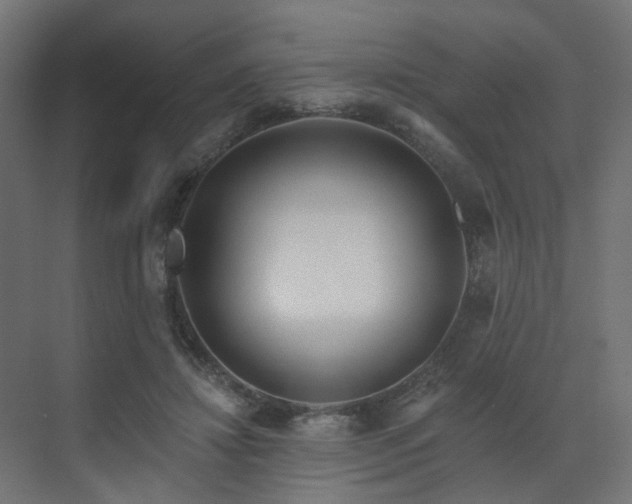 X0000073500452200607311257