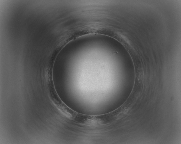 X0000073500455200607311257