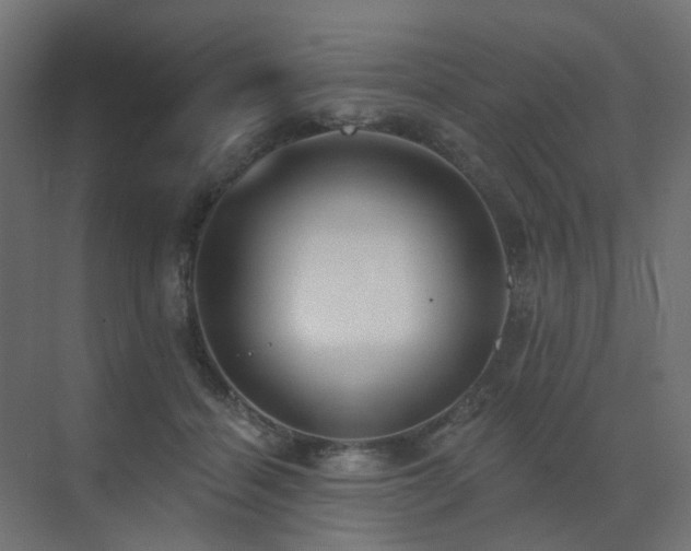 X0000073500460200607311257