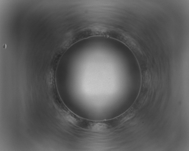 X0000073500463200607311257