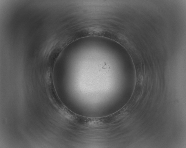 X0000073500468200607311257