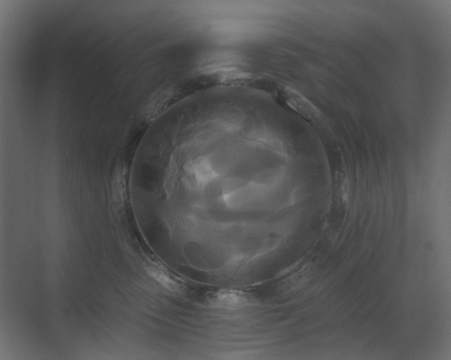 X0000073500475200607311257