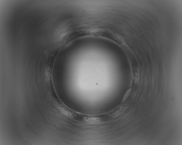 X0000073500476200607311257