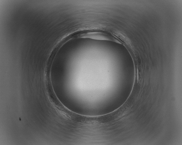 X0000073500483200607311256