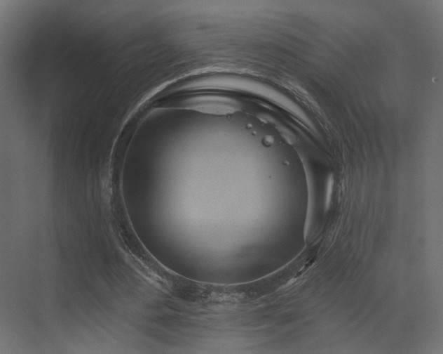 X0000073500484200607311256