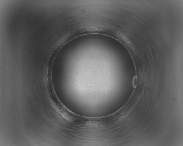 X0000073500490200607311256