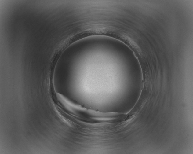 X0000073500493200607311256