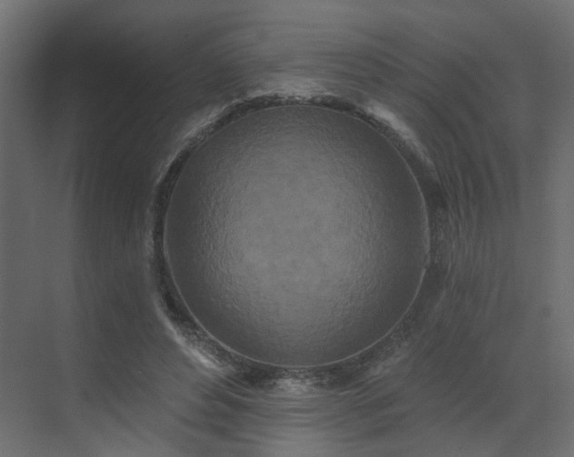 X0000073500496200607311256