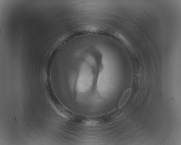 X0000073500500200607311256