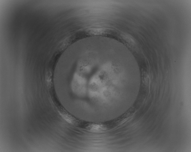 X0000073500507200607311256