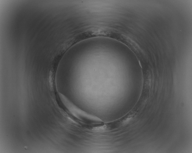 X0000073500513200607311256