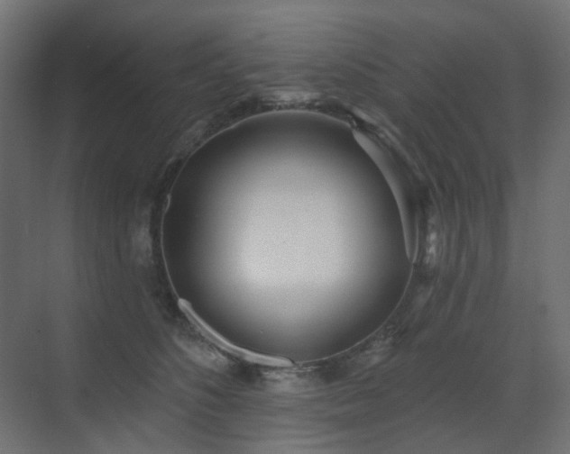 X0000073500516200607311256