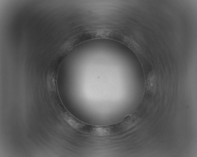X0000073500522200607311256