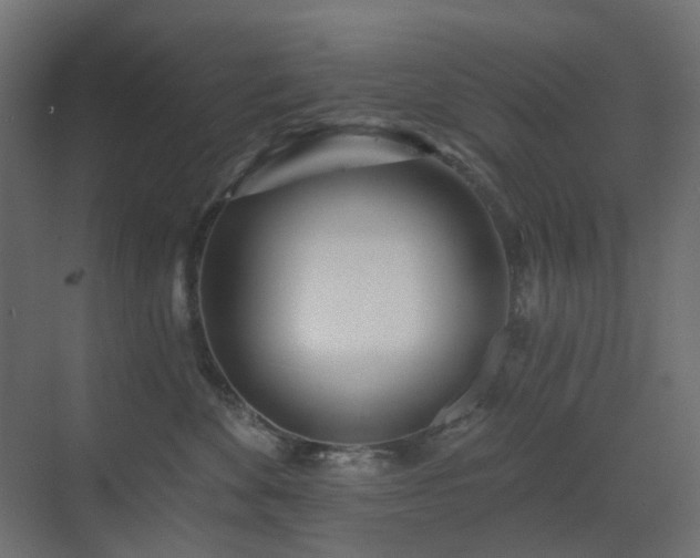 X0000073500524200607311256