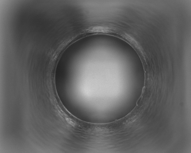 X0000073500529200607311255