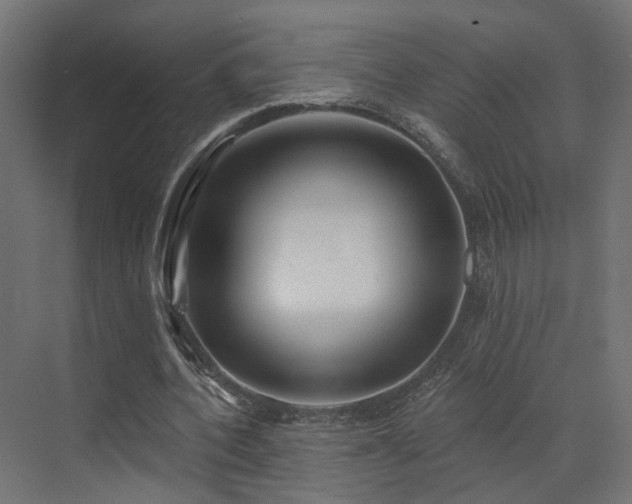 X0000073500532200607311255