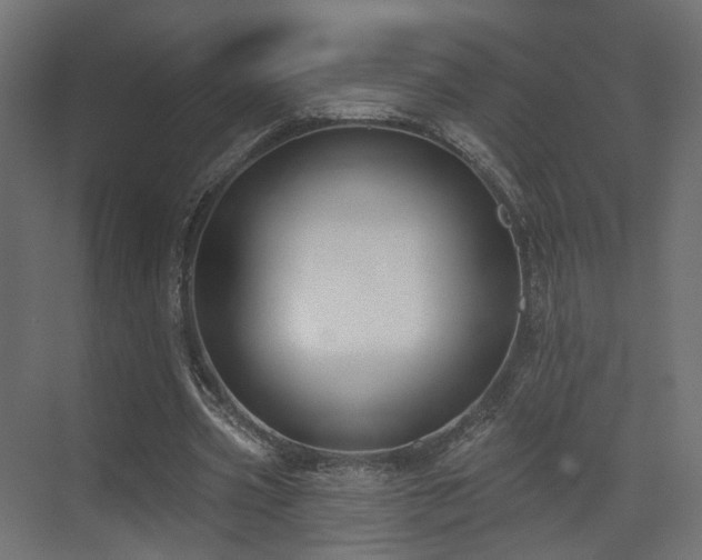 X0000073500533200607311255