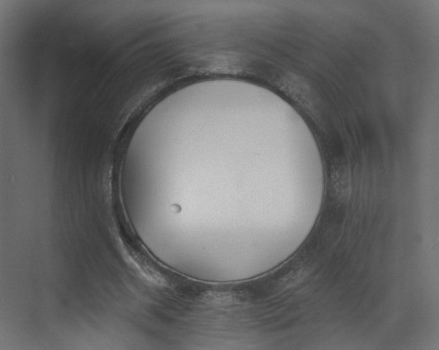 X0000073500534200607311255
