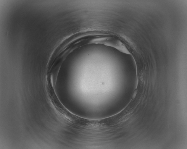 X0000073500540200607311255