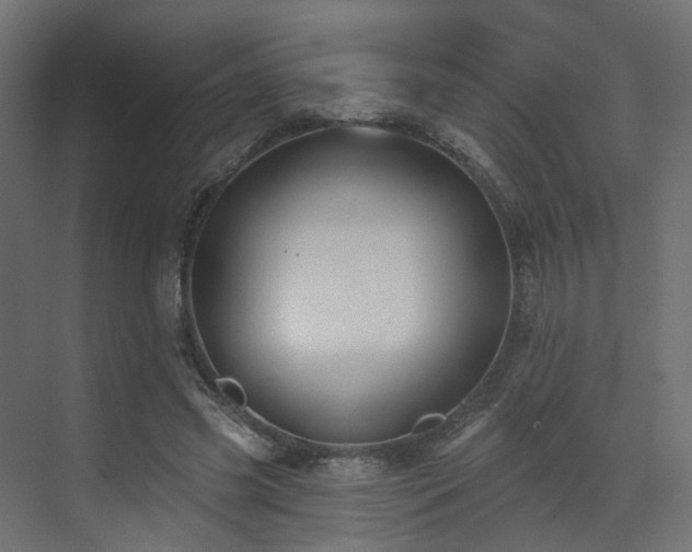 X0000073500541200607311255