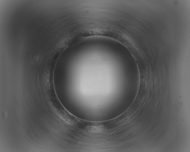 X0000073500548200607311255