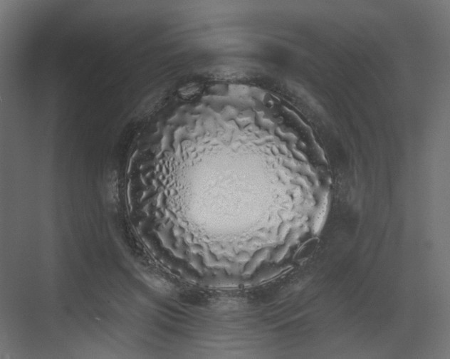 X0000073500549200607311255