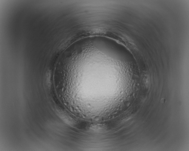 X0000073500550200607311255