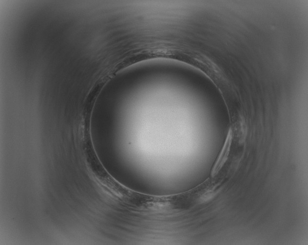 X0000073500552200607311255