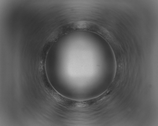 X0000073500555200607311255