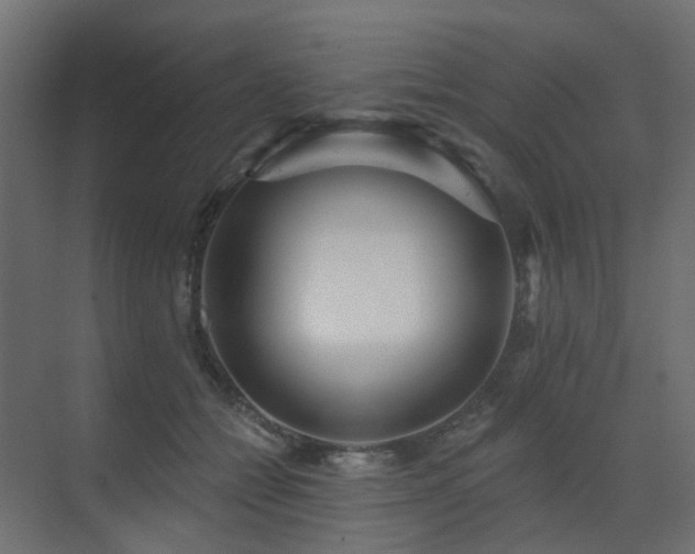 X0000073500558200607311255