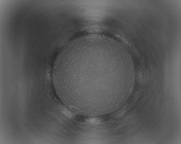 X0000073500561200607311255