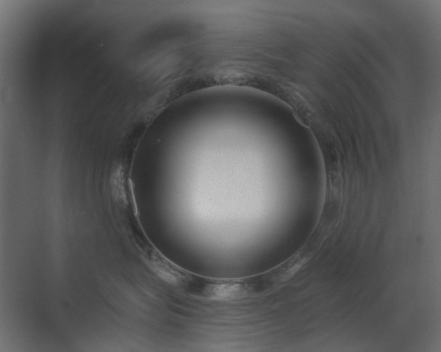 X0000073500575200607311256