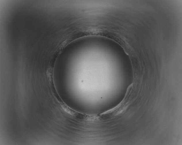 X0000073500576200607311256